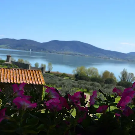 Fattoria Il Poggio 农家乐 *