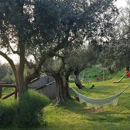 Fattoria Il Poggio 农家乐 *