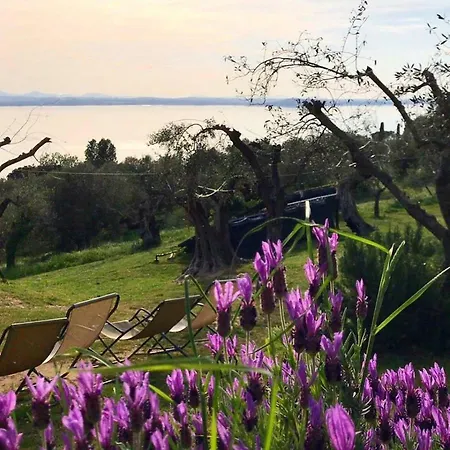 Fattoria Il Poggio 农家乐 圣费利西亚诺