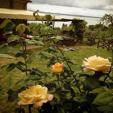 农家乐 Fattoria Il Poggio 圣费利西亚诺